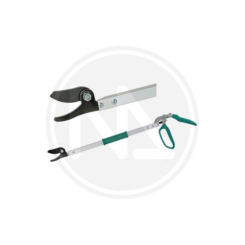 prunig shear papillon