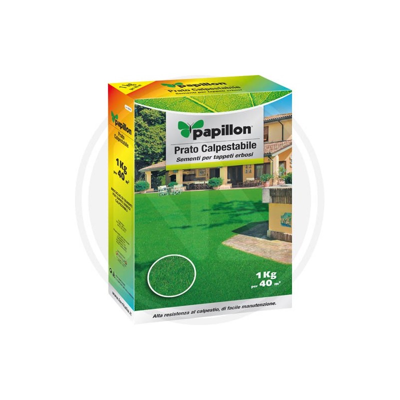 PEDESTRIAN LAWN IN SEEDS PAPILLON PEDESTRIAN LAWN IN SEEDS PAPILLON