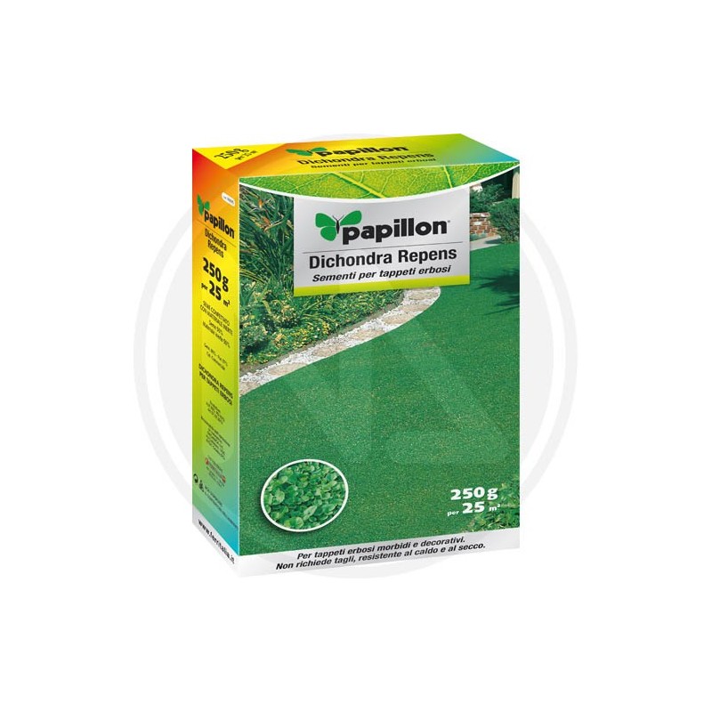 LAWN "DICHONDRA REPENS" IN SEEDS PAPILLON LAWN "DICHONDRA REPENS" IN SEEDS PAPILLON