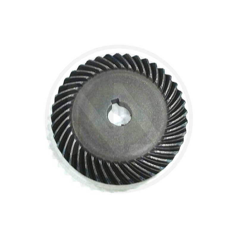PART FOR olive shaker (96235) papillon