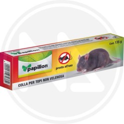 GLUE FOR MOUSES PAPILLON