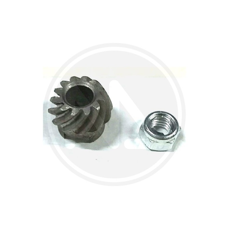 PART FOR olive shaker (96235) papillon