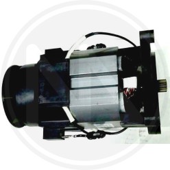 RICAMBI PER IDROPULITRICE (99549) PAPILLON - MOTORE