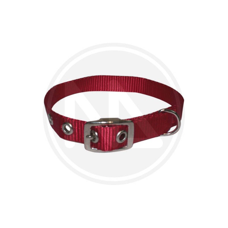 COLLARE IN NYLON colorato per cane