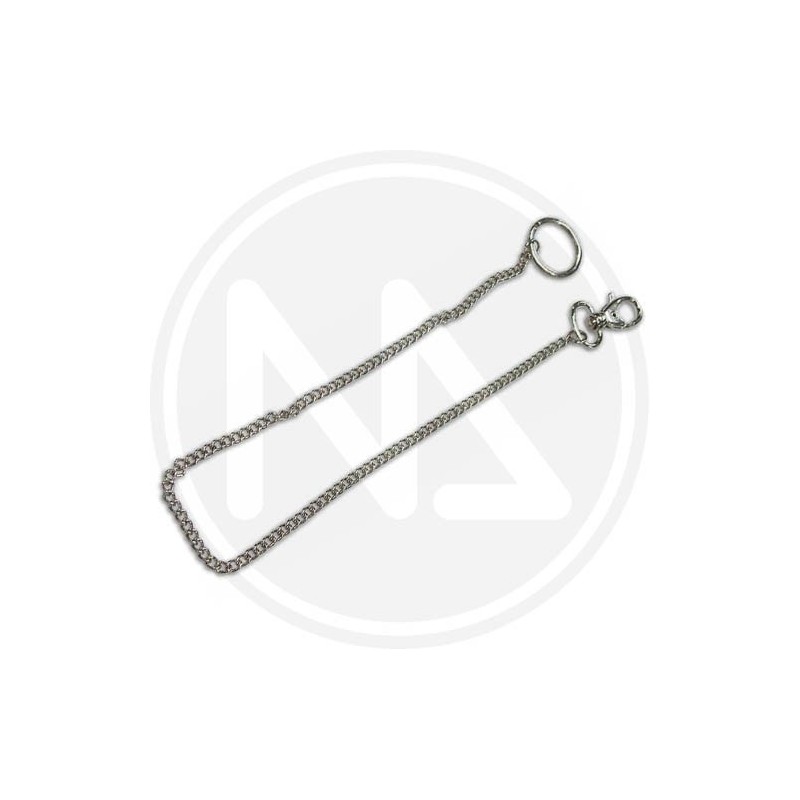 keyring with chain