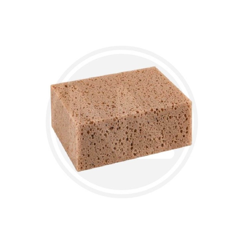 SPONGE for CAR WASH SPONGE for CAR WASH