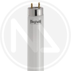 TUBO LED "EcoLED T8" CORPO IN VETRO BEGHELLI