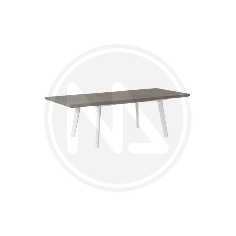 ceiling frame polystyrene "I883" BOVELACCI