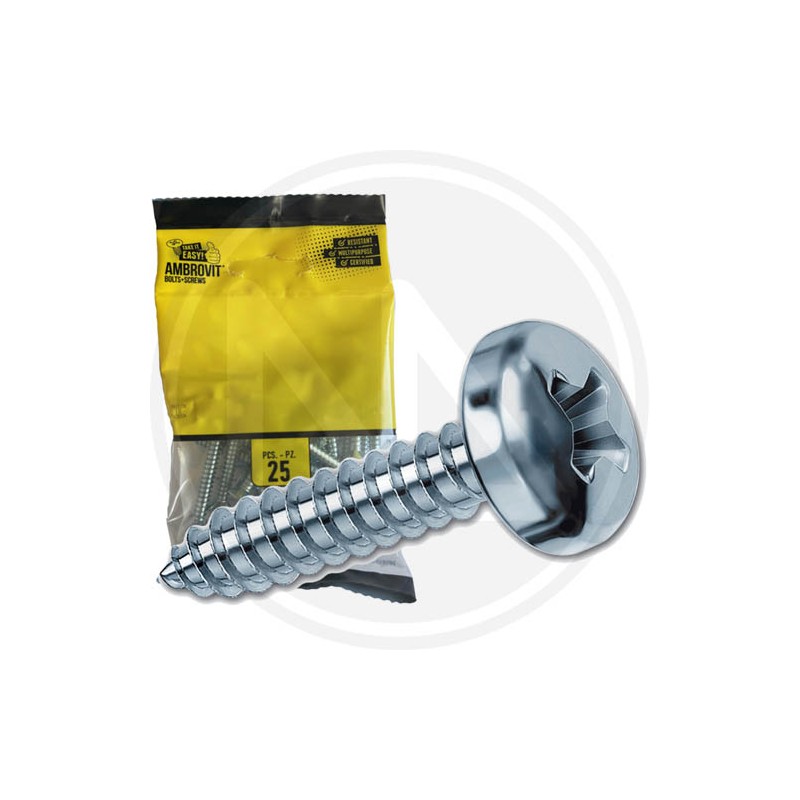 GALVANIZED SELF-TAPPING TC SCREWS for metal IN BLISTER