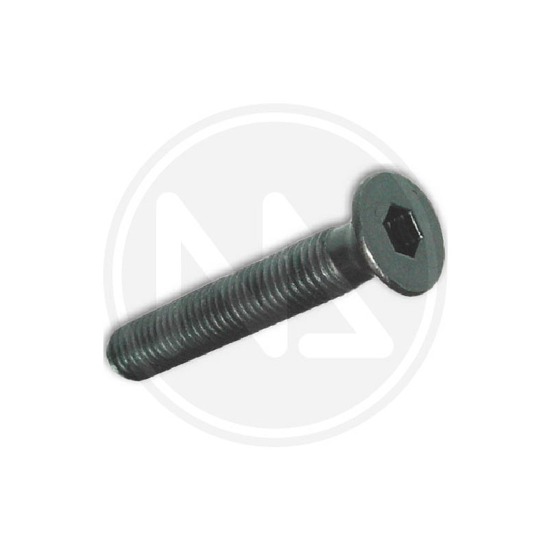 viti per metallo BRUNITE esagono incass. 6 mm.