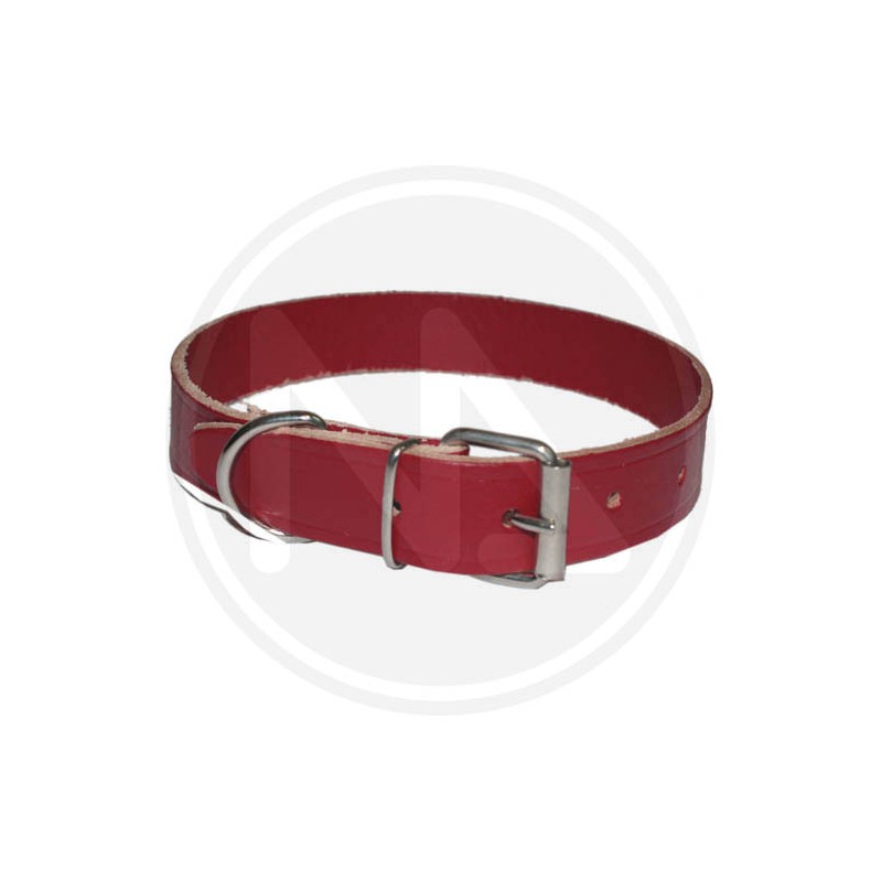 leather collar for dog
