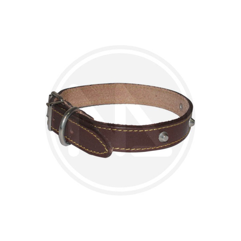 leather collar with studs for dog