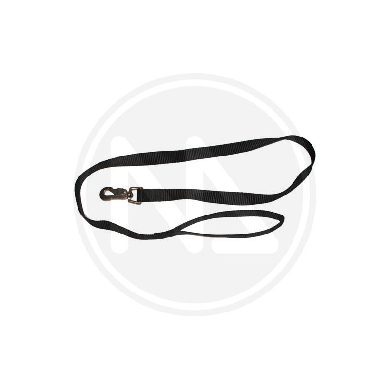 colored nylon leash for dog