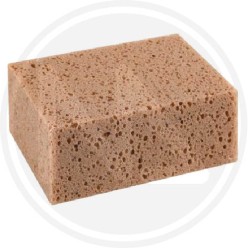 SPONGE for CAR WASH