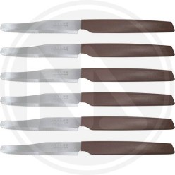TABLE KNIVES BROWN COLOR 6 PCS