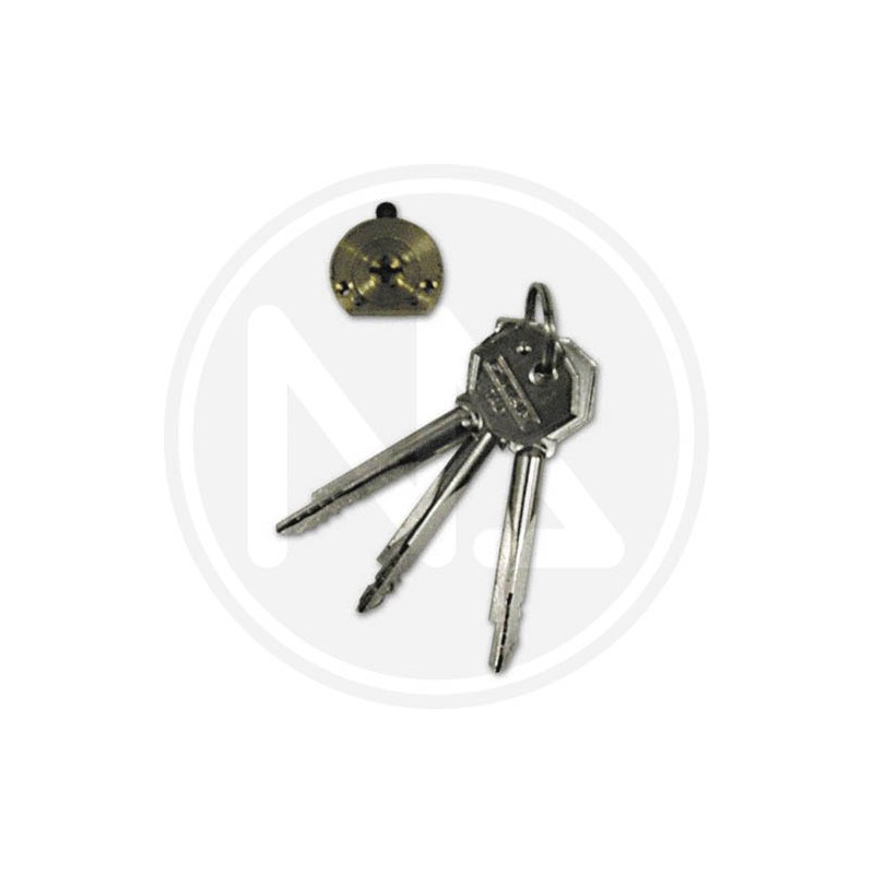 rim version pin cylinder "70" fiam