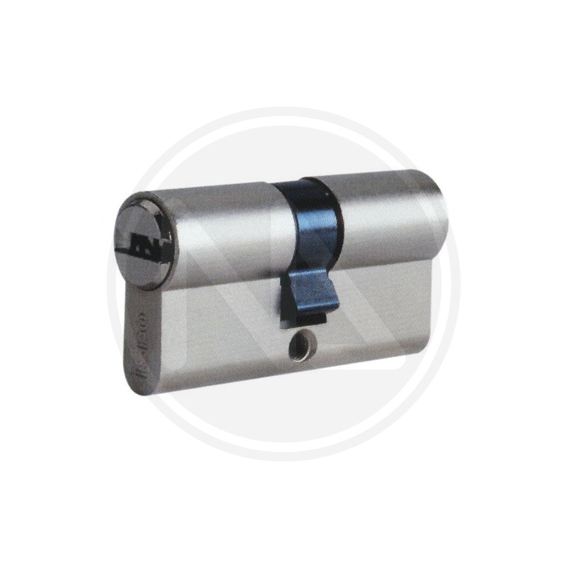 shaped mortice version cylinder R6 "8809" iseo