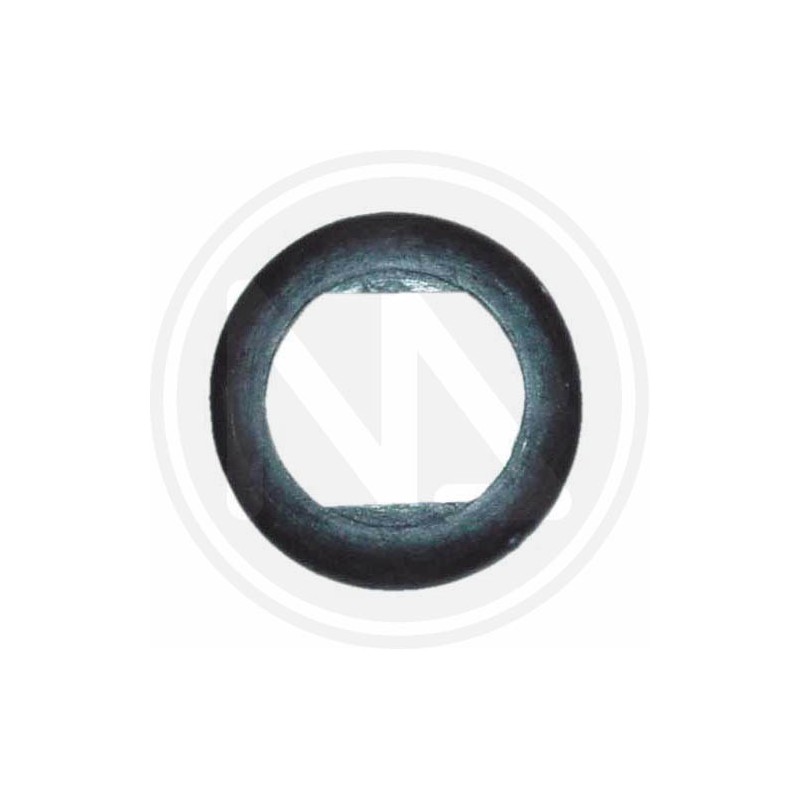 keyhole limpet-round "042" iseo