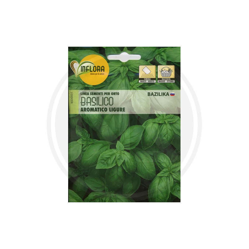 SEEDS FOR VEGETABLE GARDEN (GR. 1)