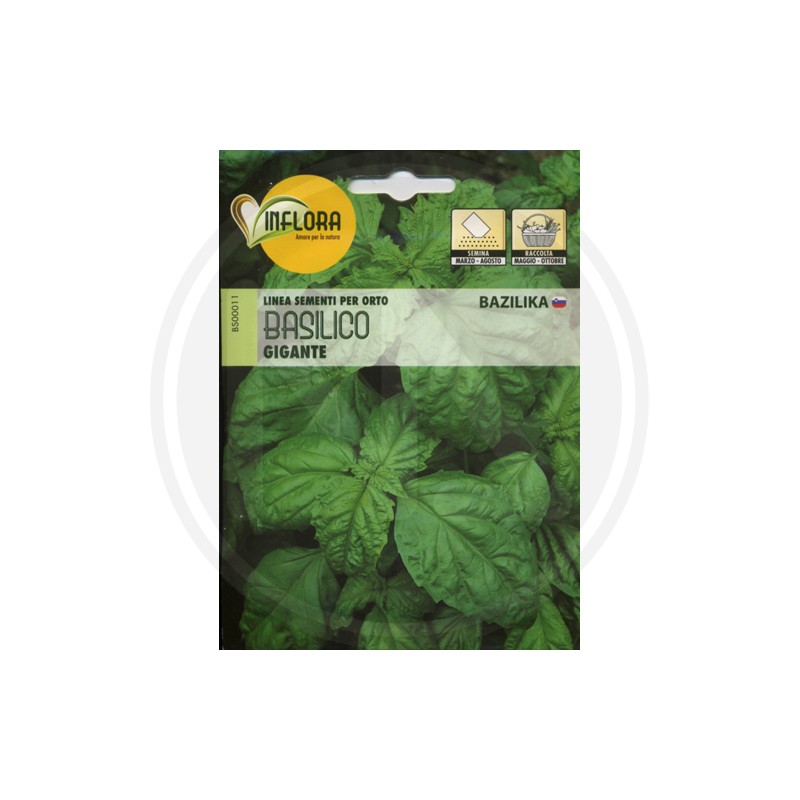 SEEDS FOR VEGETABLE GARDEN (GR. 1)