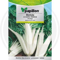 SEEDS FOR VEGETABLE GARDEN (GR. 1)