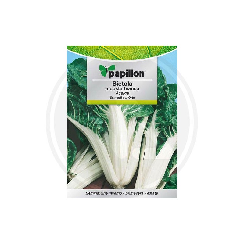 SEEDS FOR VEGETABLE GARDEN (GR. 1)