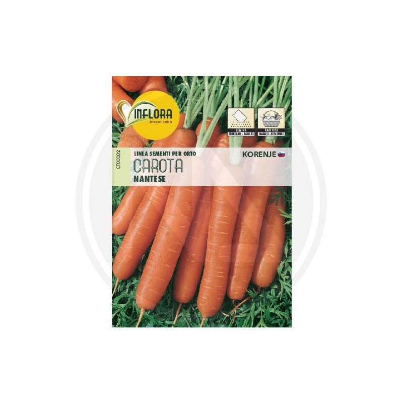 SEEDS FOR VEGETABLE GARDEN