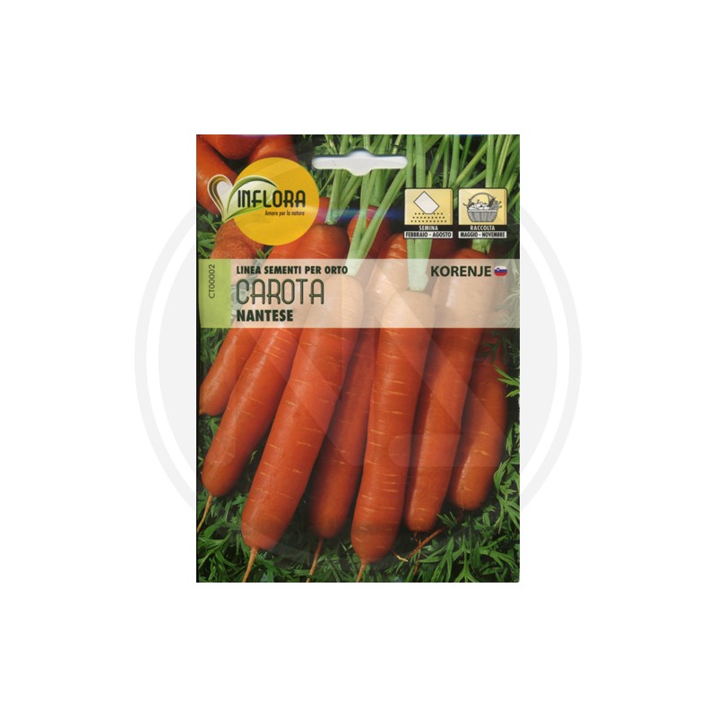 SEEDS FOR VEGETABLE GARDEN (GR. 1)