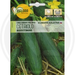 SEMI PER ORTO "CETRIOLO MARKETMORE"