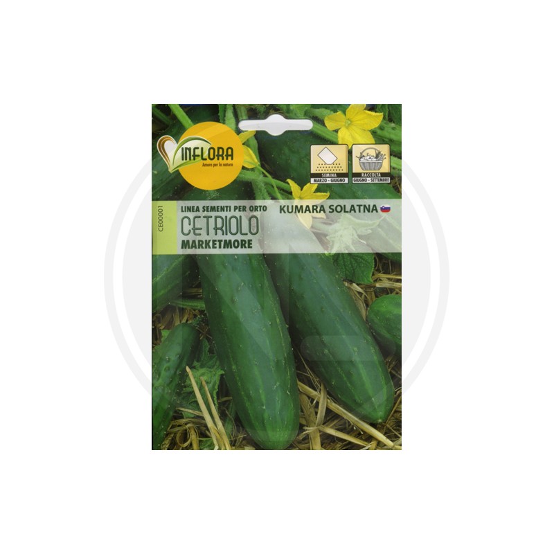SEEDS FOR VEGETABLE GARDEN (GR. 1)