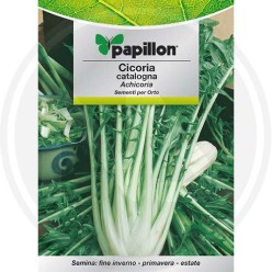 SEEDS FOR VEGETABLE GARDEN (GR. 1)