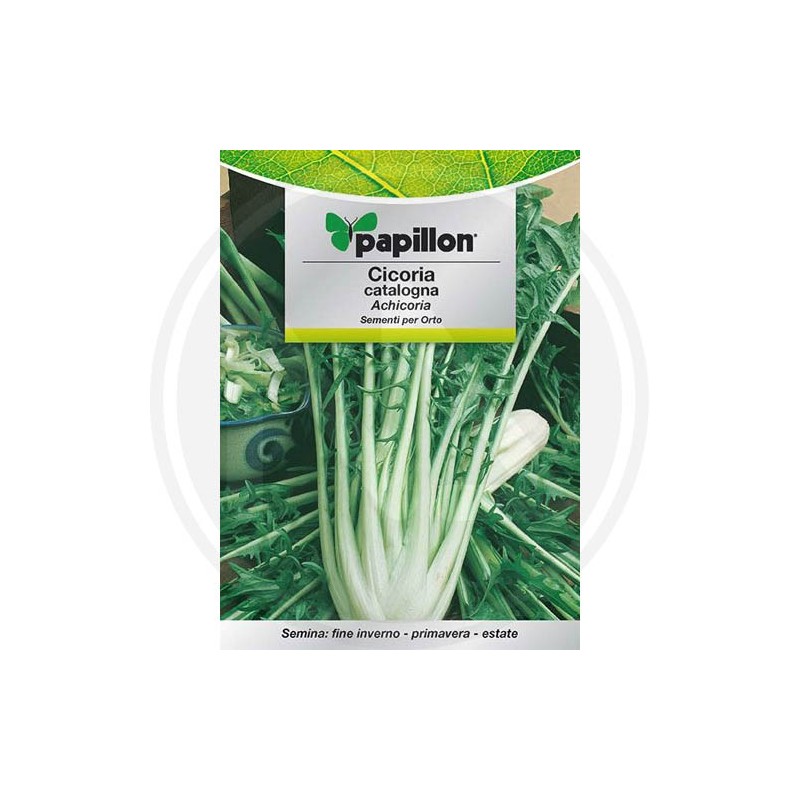 SEEDS FOR VEGETABLE GARDEN (GR. 1)