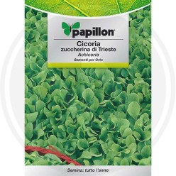 SEEDS FOR VEGETABLE GARDEN (GR. 1)