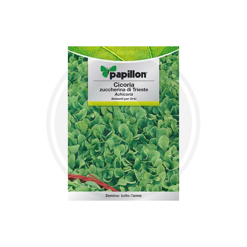 SEEDS FOR VEGETABLE GARDEN (GR. 1)