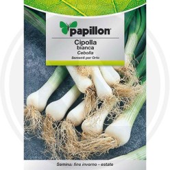 SEEDS FOR VEGETABLE GARDEN (GR. 1)