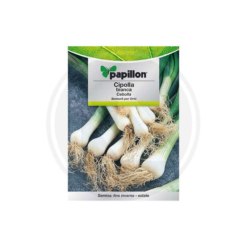 SEEDS FOR VEGETABLE GARDEN (GR. 1)