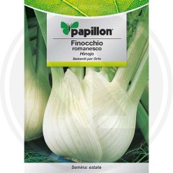 SEEDS FOR VEGETABLE GARDEN (GR. 1)