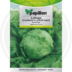 SEEDS FOR VEGETABLE GARDEN (GR.2)