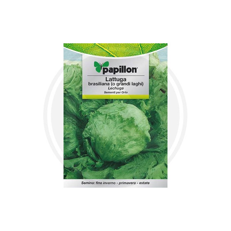 SEEDS FOR VEGETABLE GARDEN (GR.2)
