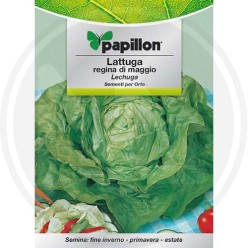 SEEDS FOR VEGETABLE GARDEN (GR.2)