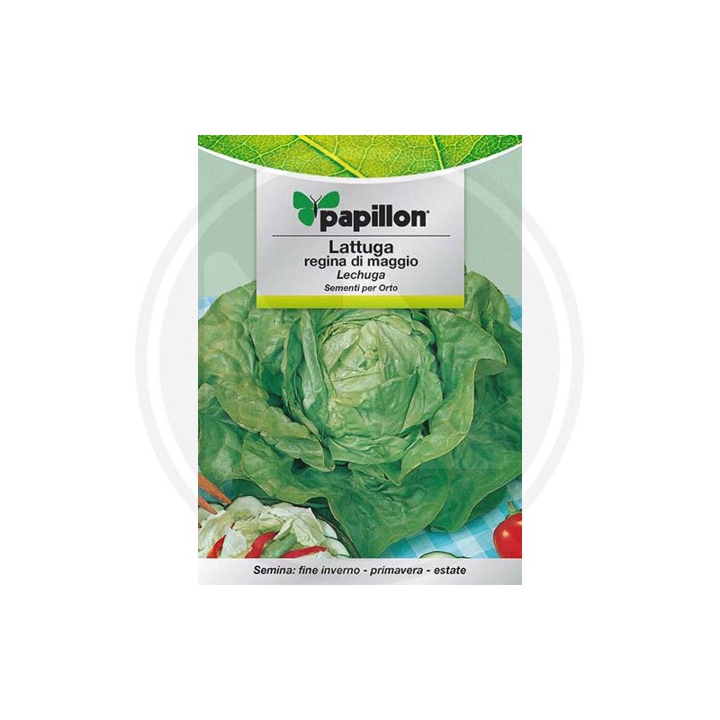 SEEDS FOR VEGETABLE GARDEN (GR.2)