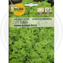SEMI PER ORTO "LATTUGA BIONDA FOGLIA RICCIA"