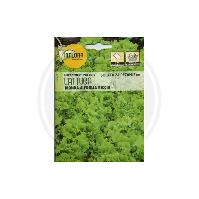 SEEDS FOR VEGETABLE GARDEN (GR.2)