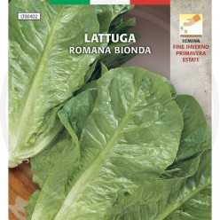 SEMI PER ORTO "LATTUGA ROMANA BIONDA"