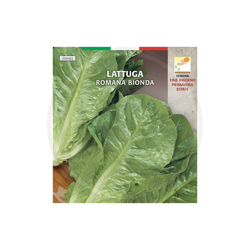 SEEDS FOR VEGETABLE GARDEN (GR.2)