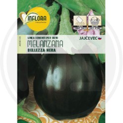 SEEDS FOR VEGETABLE GARDEN