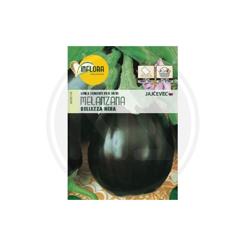 SEEDS FOR VEGETABLE GARDEN