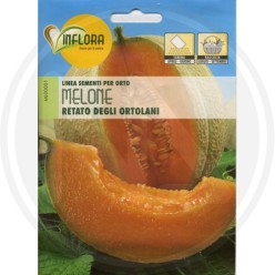 SEEDS FOR VEGETABLE GARDEN (GR.2)