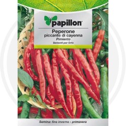 SEEDS FOR VEGETABLE GARDEN (GR.2)