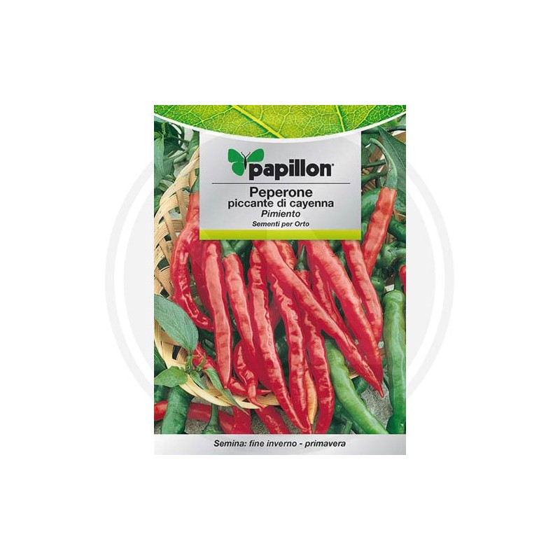 SEEDS FOR VEGETABLE GARDEN (GR.2)